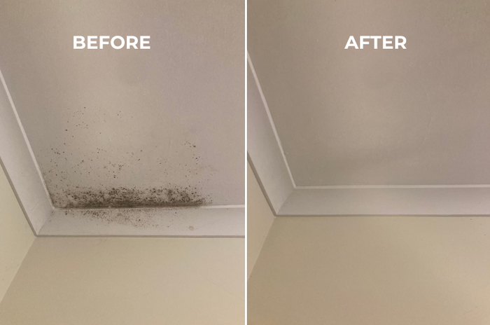 Bathroom Ceiling Mould Removal: How to Remove It and Stop It Coming Back