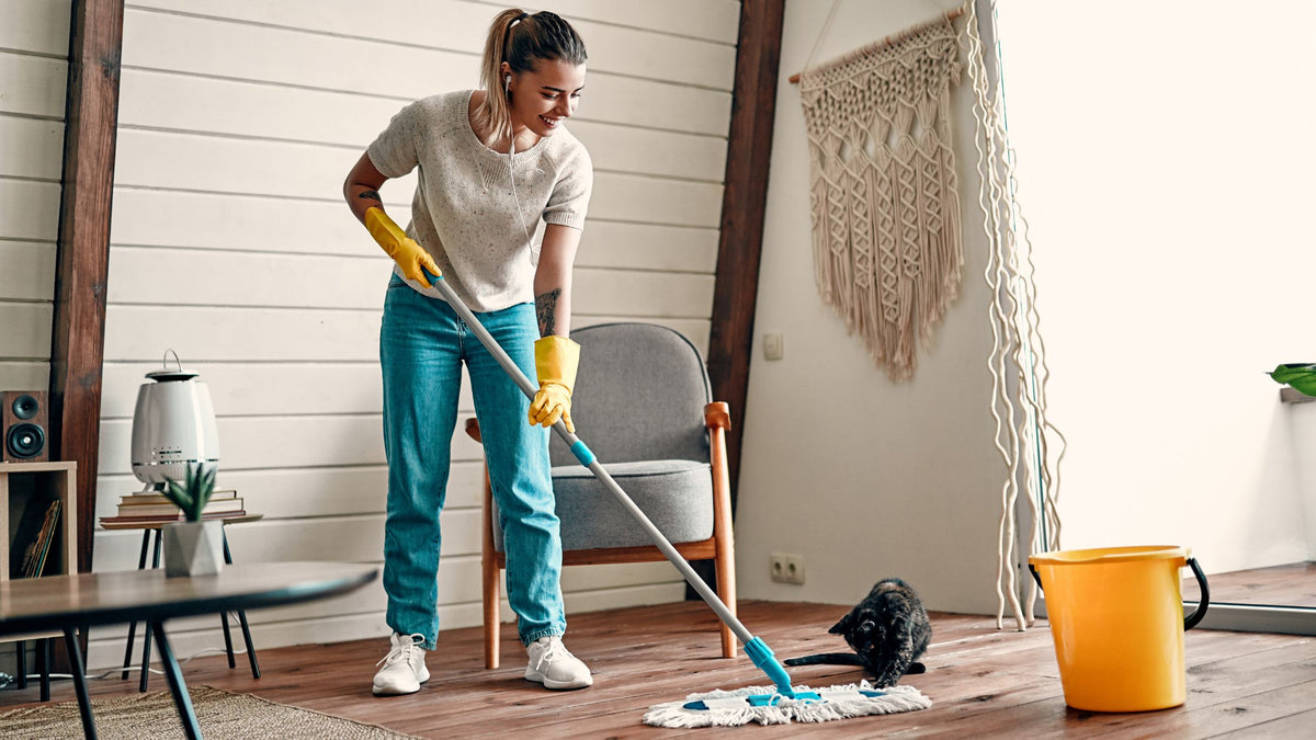 What is the Most Important Rule of Cleaning? (Plus More Household Cleaning Tips!)