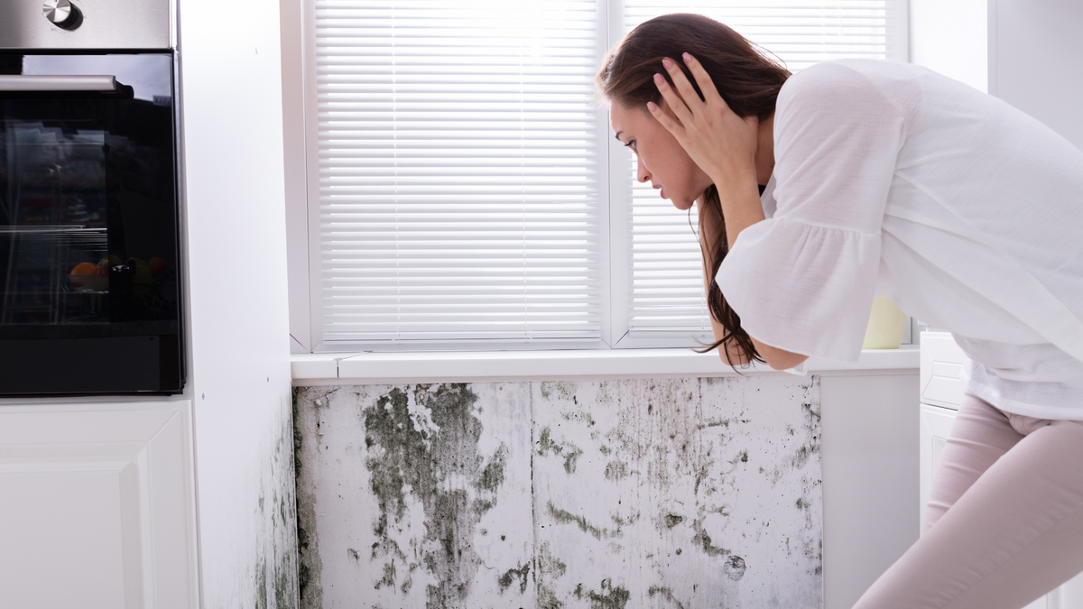 5 Reasons to PROTECT Your Home From Mould (Not Just Clean It When It Appears)