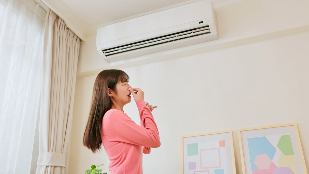 7 Hidden Signs of Mould in Your Home