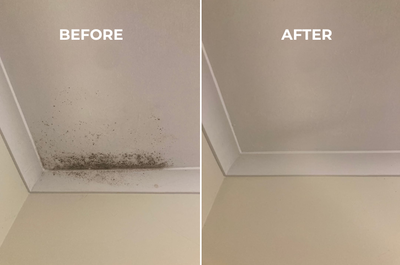 Bathroom Ceiling Mould Removal: How to Remove It and Stop It Coming Back