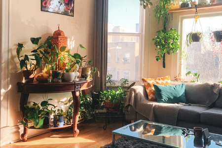 4 Health Benefits of a Clean Home