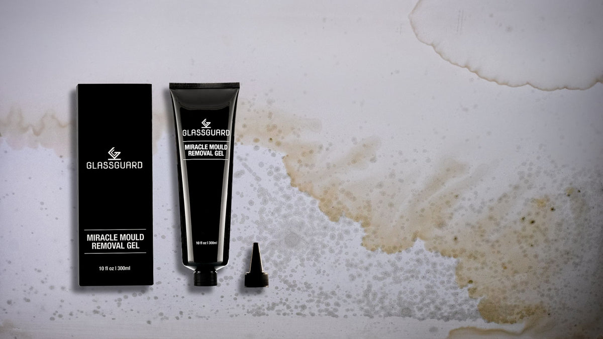 How to Get Rid of Mould on Ceilings? (5 Pro Tips That Actually Work)