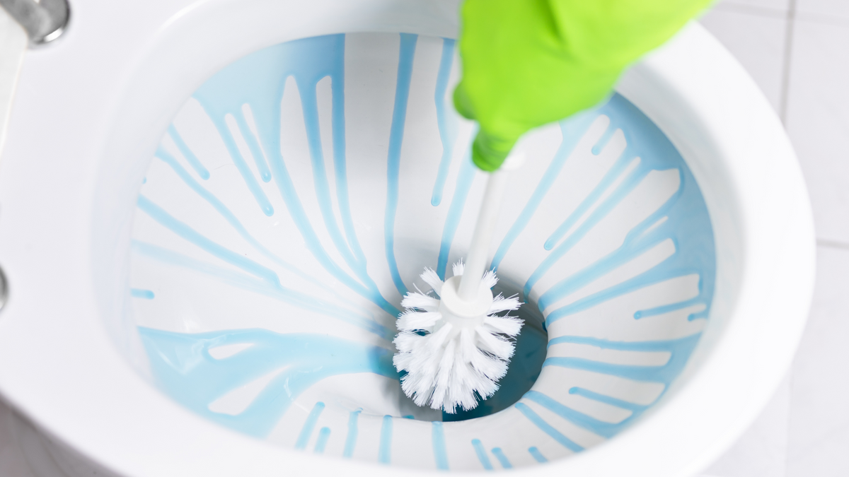 If You Clean Your Toilet This Way, You're Doing it Wrong (3 Toilet Cleaning Techniques to AVOID!)